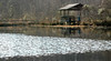 Norm Powers > Pond in Winter