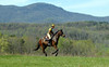 Norm Powers > FENCE Horse Trials, April 2009