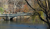 Norm Powers > Bow Bridge, Central Park - November, 2009