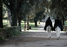 Norm Powers > Rome  - Giardini Borghese